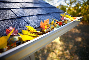 gutter cleaning