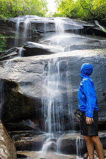 waterfall pisgah national forest asheville