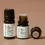 Miniatură: Helichrysum Italicum - Ulei esențial organic, Plant Therapy, 5 ml