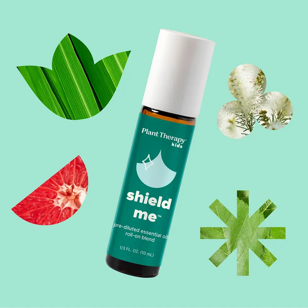 Miniatură: Shield Me Anti insecte- Amestec uleiuri esentiale cu rollon, Kidsafe, 10ml