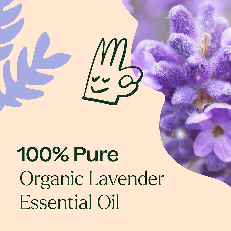 Miniatură: Lavanda - Ulei Esential Organic Plant Therapy, 10 ml