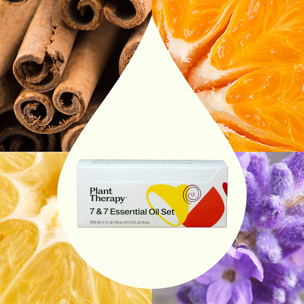 Miniatură: Set 14 Uleiuri esentiale Plant Therapy, 7 Blenduri & 7 Uleiuri individuale