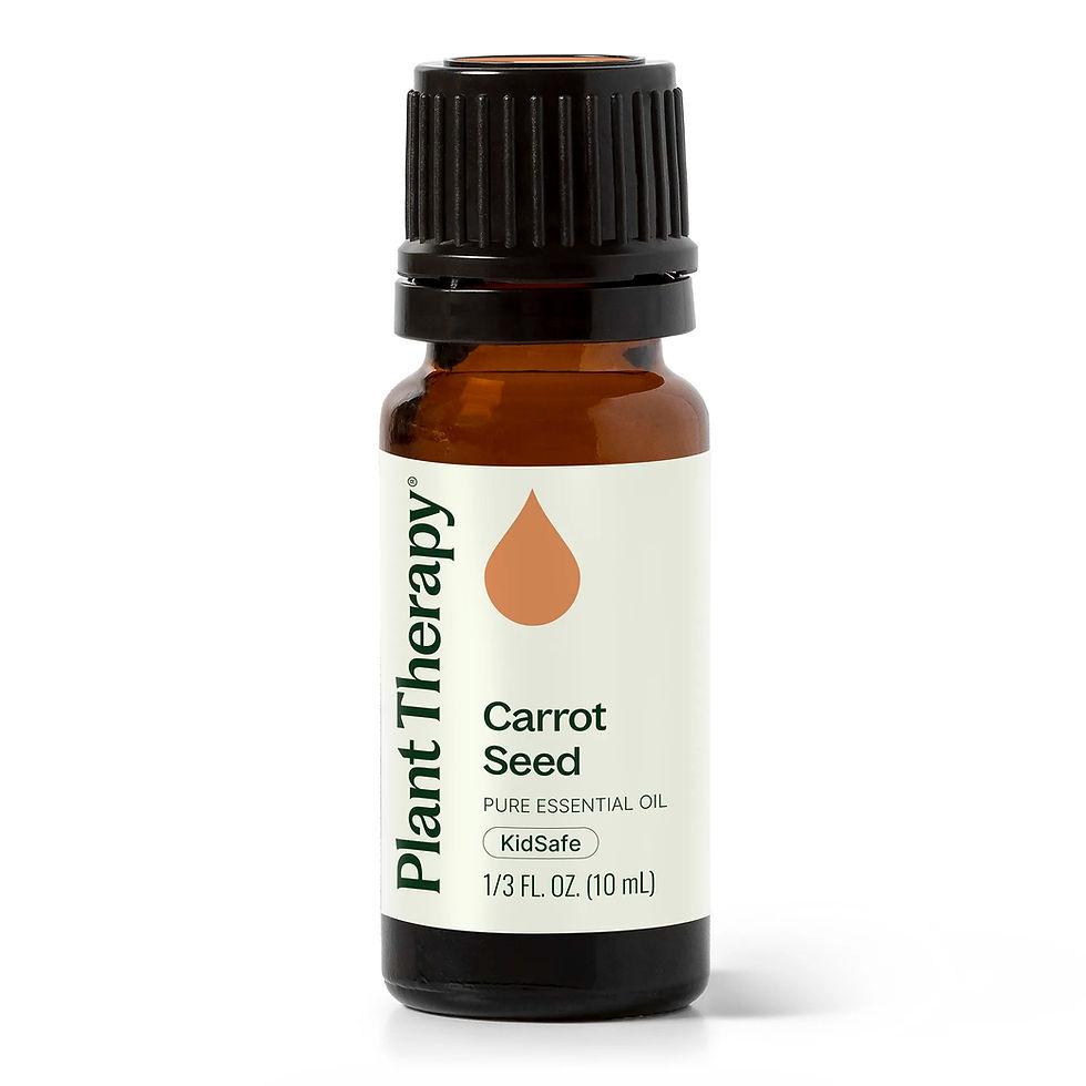Carrot Seed - Ulei esențial de semințe de morcov, Plant therapy, 10 ml