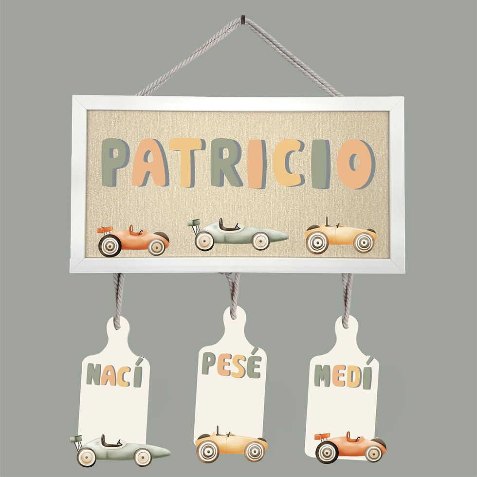 Patricio coches