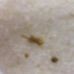 Thumbnail: Himalayan Bath Salt Blend 500g
