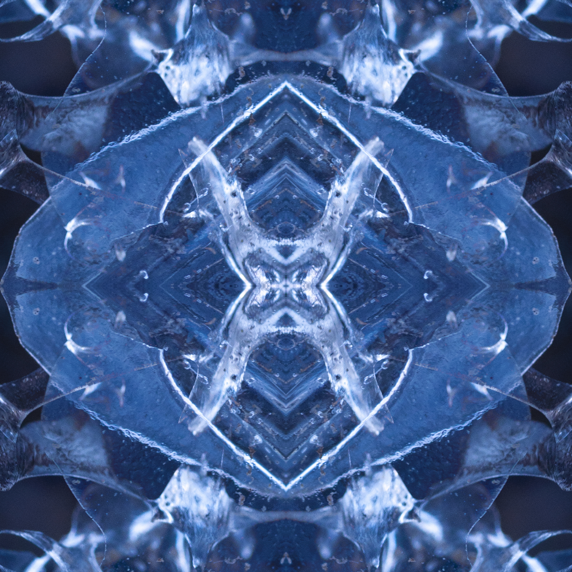 Square 65