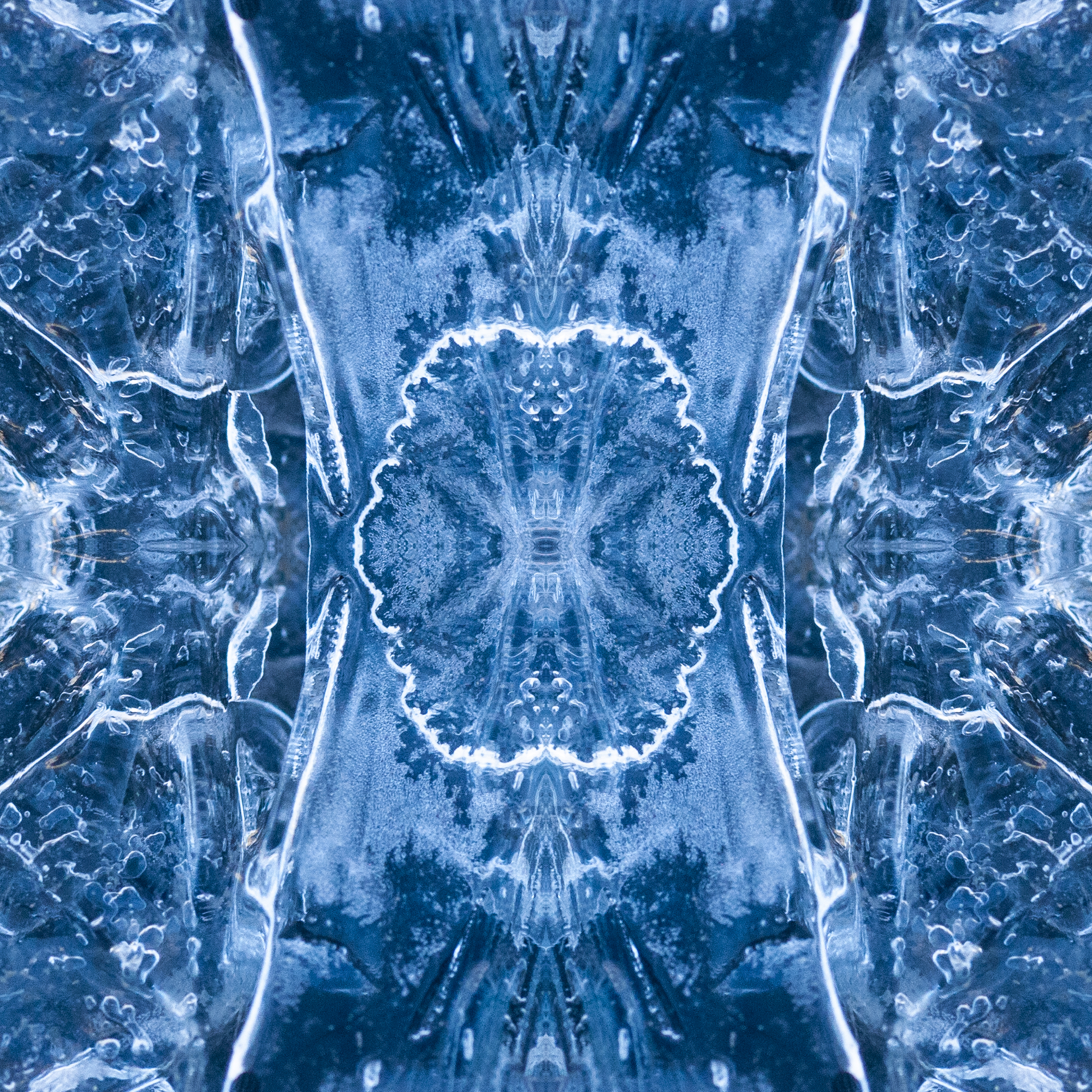 Square 41