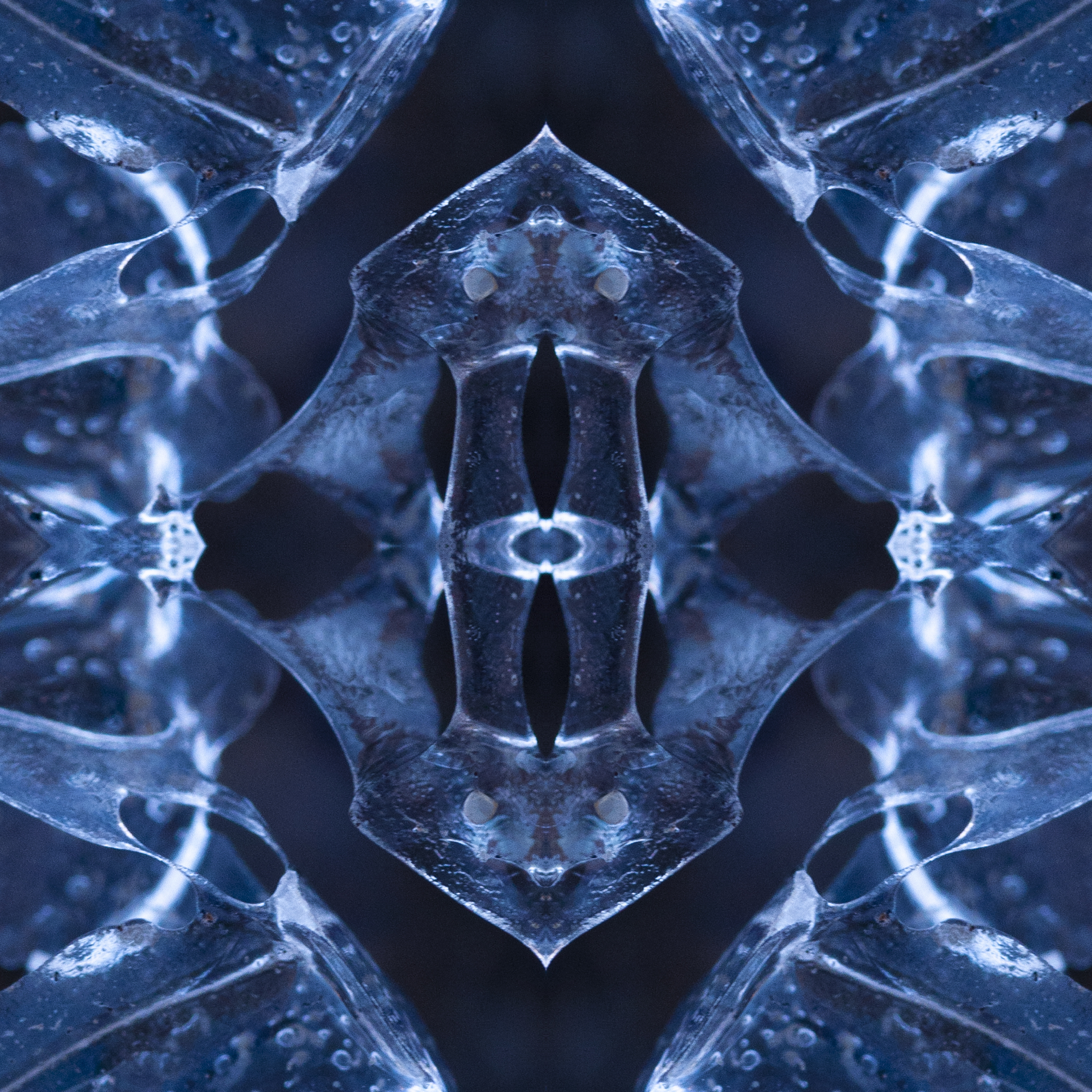 Square 61