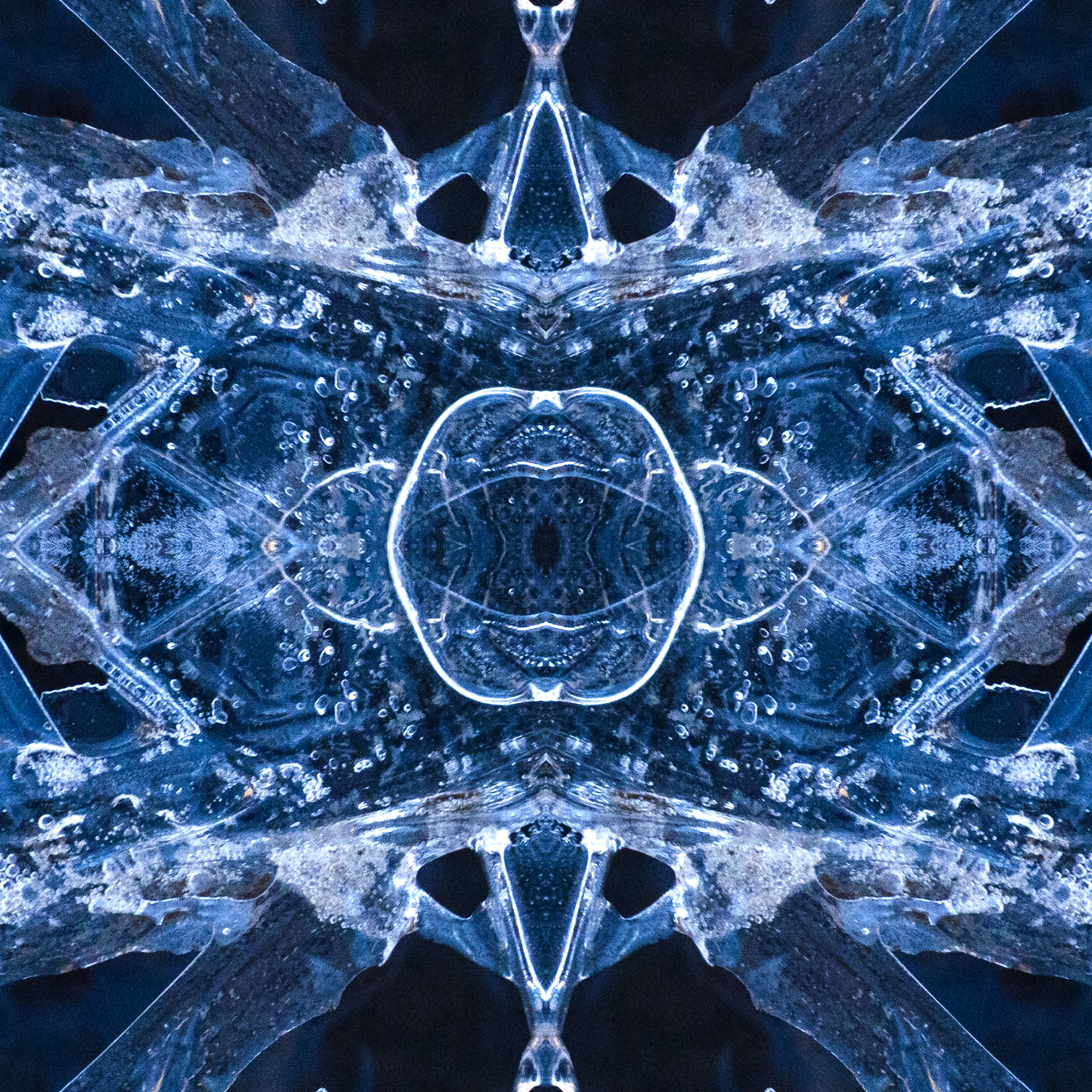 Square 16