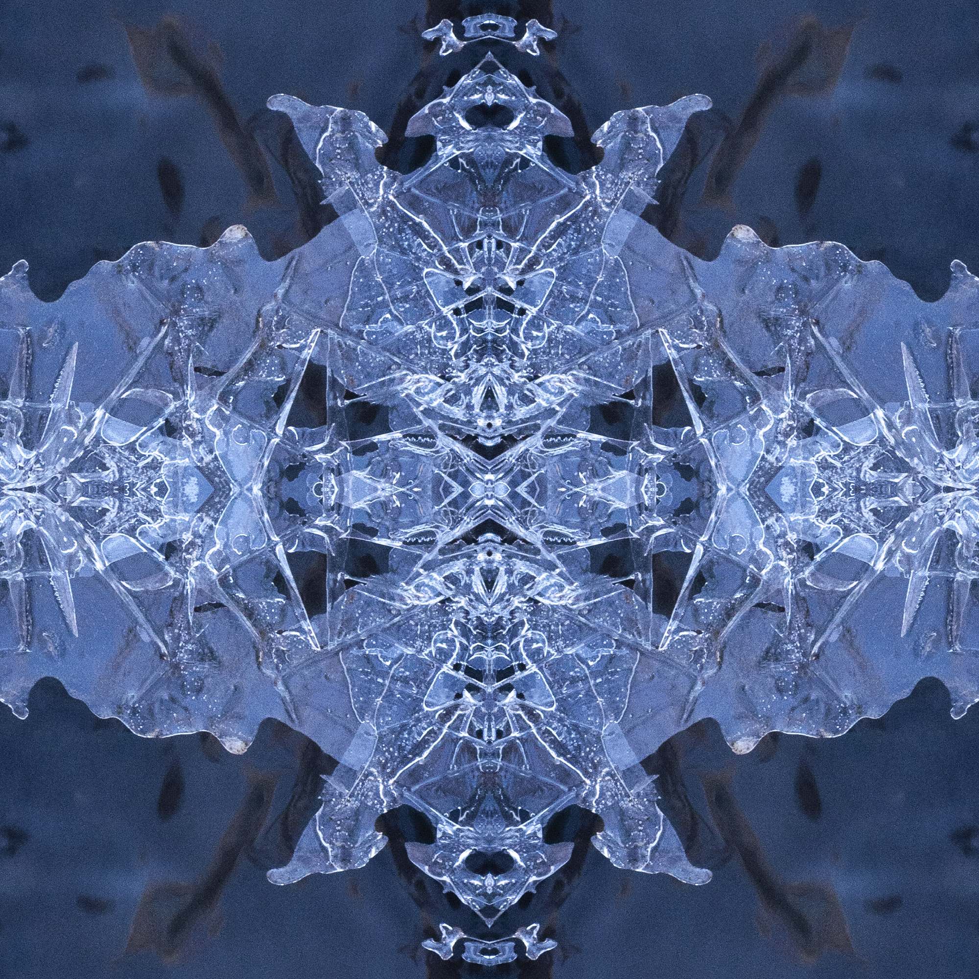 Square 40
