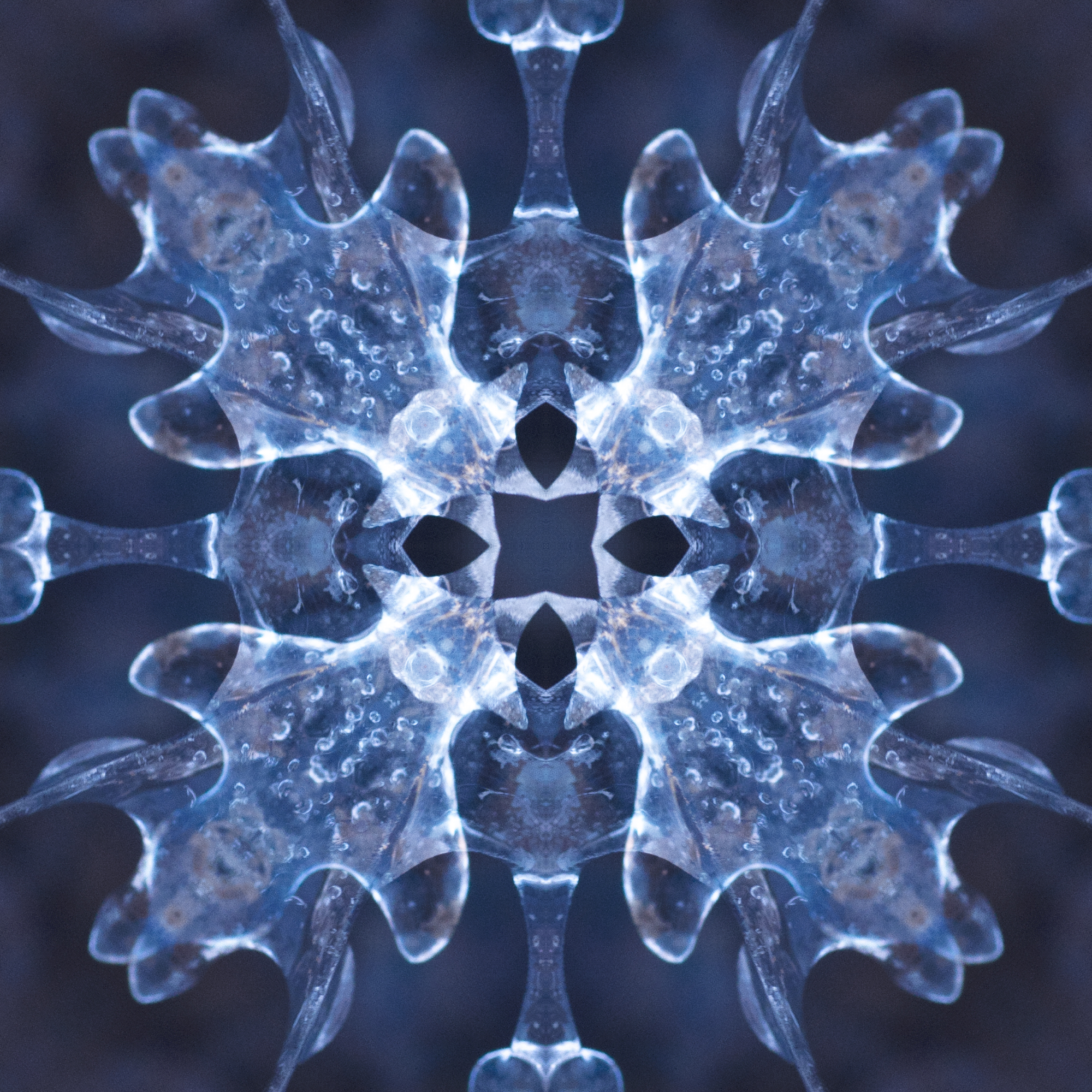 Square 60