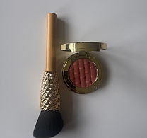 BRUSH AND BLUSH..HEIC