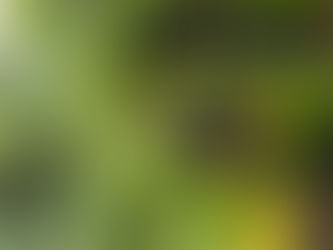 Thoughts on the National Writers' Day