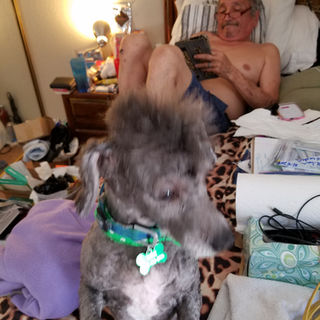 20180428_132201.jpg