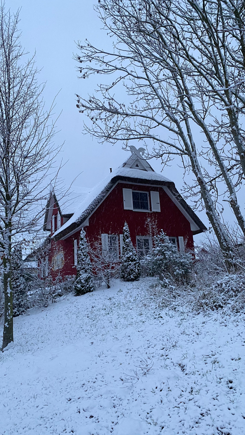 Windsbraut im Winter