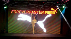 Avecalma :: DESFILE :: Puma