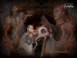 :: Seres Terrenales ::