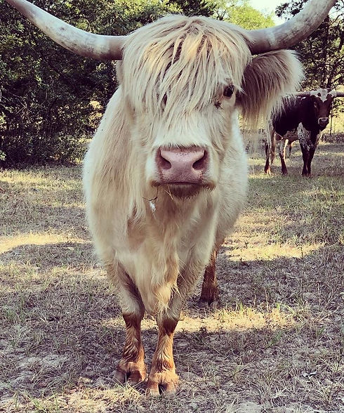 D99AD622-674B-4265-B393-D8BDF77E6825_edi