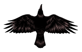 C13_p0_crowv2-transparent.png
