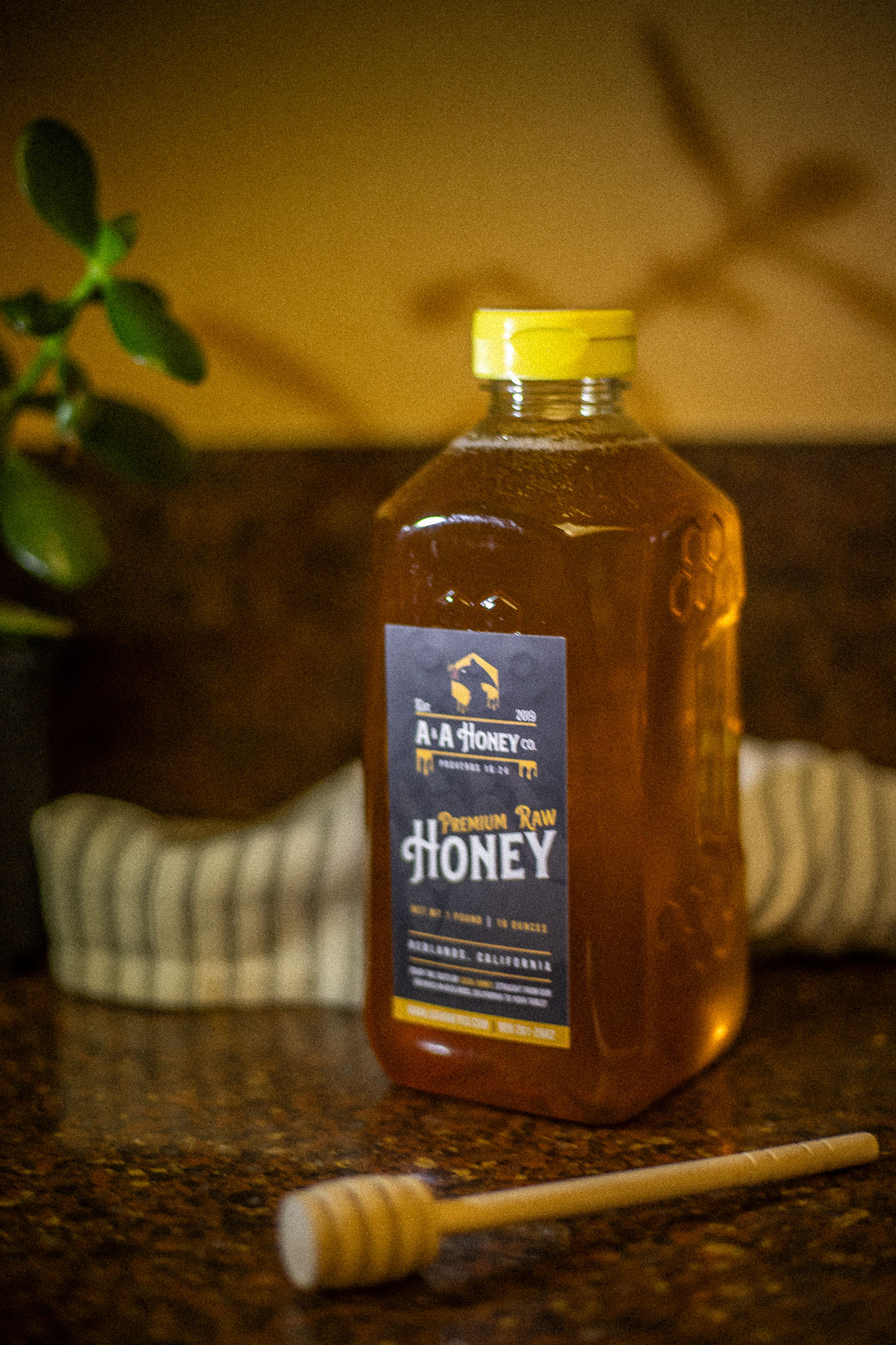 Wildflower Honey | 48 oz./3 lbs. 