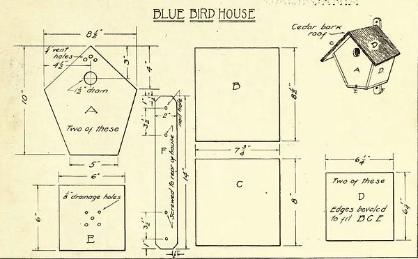 free-birdhouse-plans-for-blue-birds3.jpg