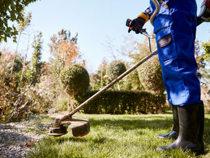 Low-Maintenance Landscaping Ideas from Pro Landscapers