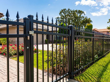  A black wrought iron security fence with decorative spiked tops and a gate secures the perimeter of a suburban home, surrounded by green grass and landscaping.