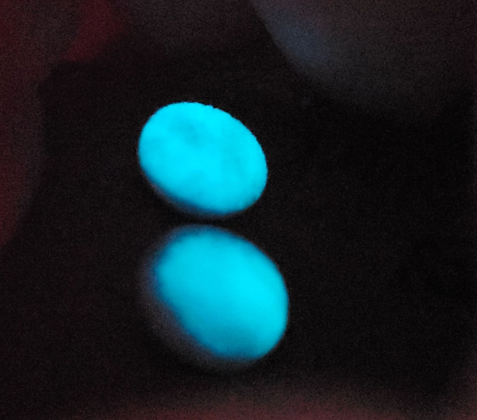 Thumbnail: Glow in the Dark - Green Studs