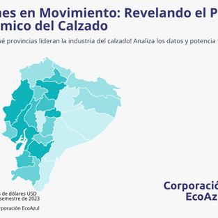 El poder económico del calzado en Ecuador
