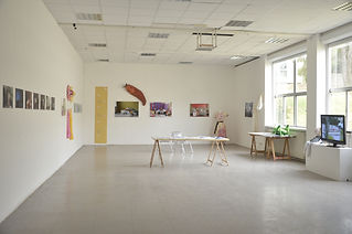 _DSC6529 - Copie.JPG
