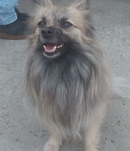 Bella Ballhorn