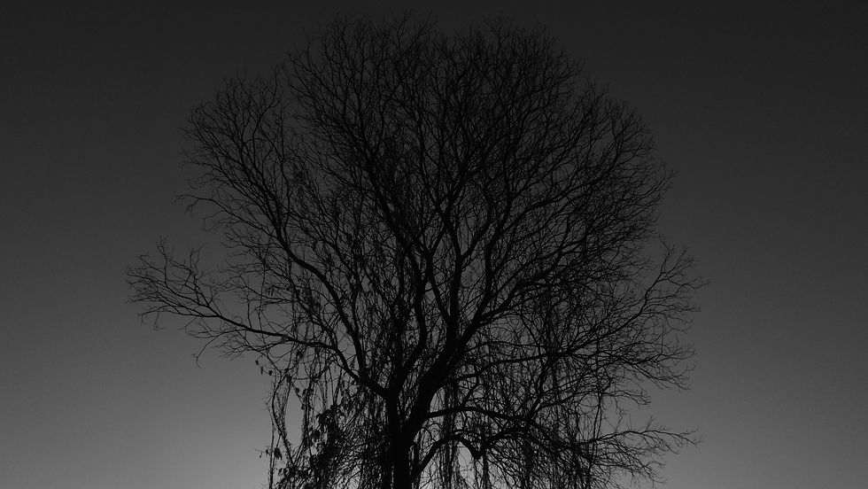 DSCF9410