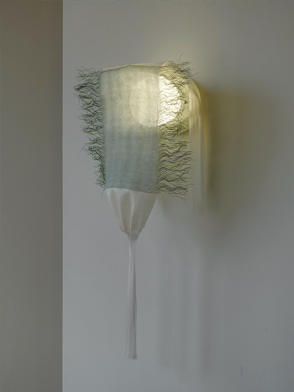 Echo I_Full1080x1440.jpg