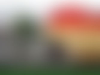 Wednesday, October 29, 2025