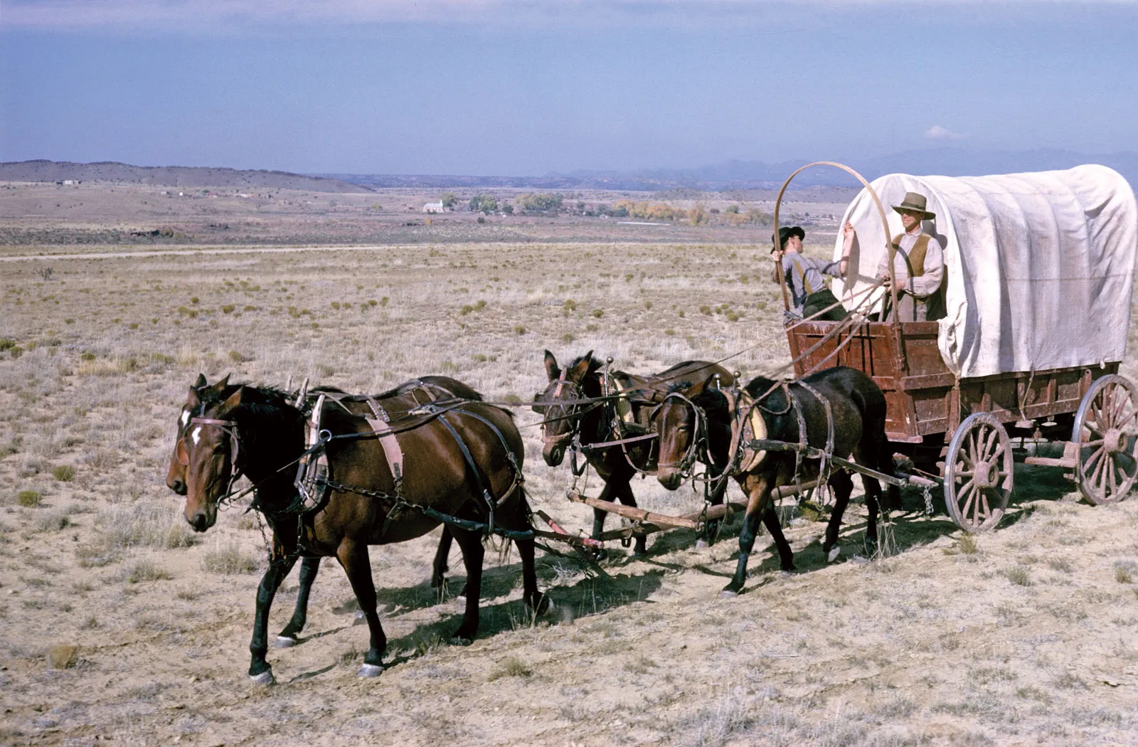 reenactment-prairie-schooner-wagon-horse-team-plains.webp