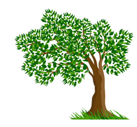 Tree_Transparent_Clipart_Picture_edited_