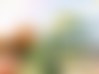 Twin Elements CBD Oil Read Reviews Price And Buy			