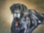 dog painting portrait