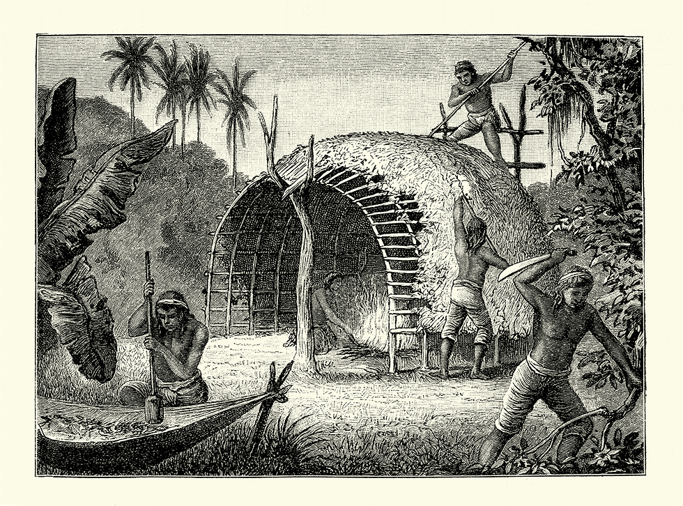 mate çayı yetiştiren yerliler