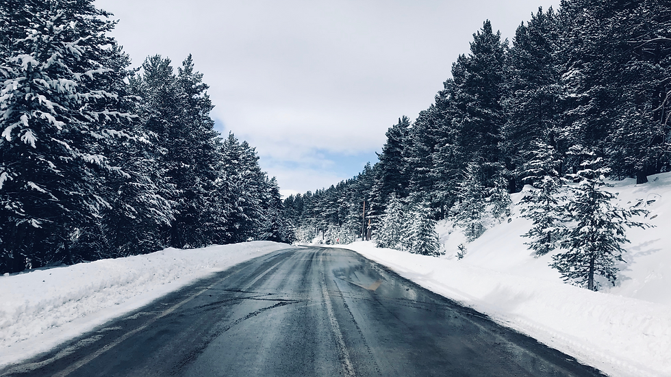 Snow-covered road lined with tall pine trees, under a cloudy sky.