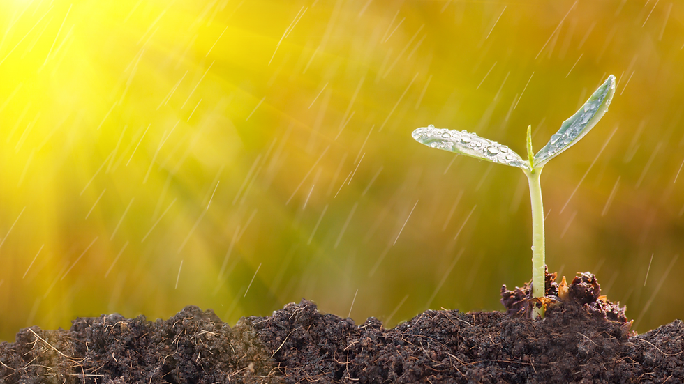 Why Small Businesses Struggle with Scaling and How to Fix It