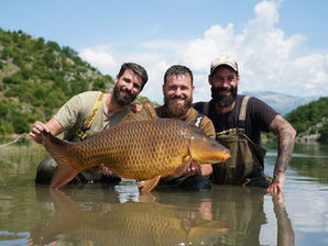 3 homme avec une carpe commune dans les bras.