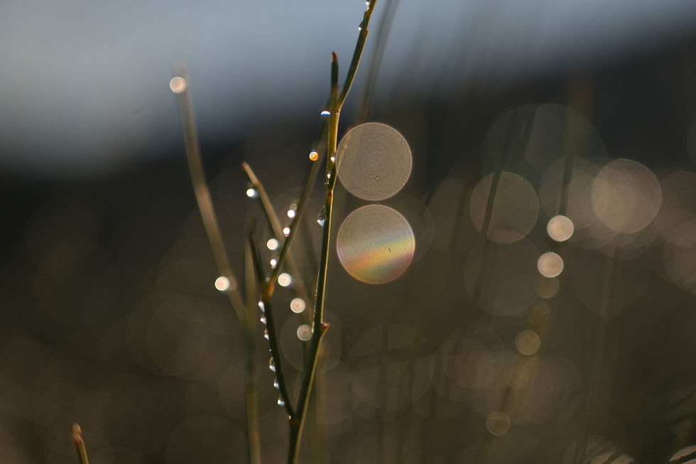 Toute certitude n'est qu'illusion