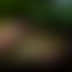 Une carpe fully scaled