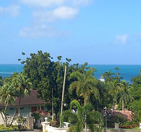 2 Bed Condo
DickensonBay11