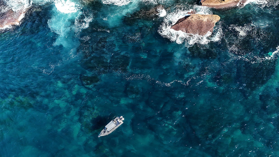 DJI_20260728104237_0288_D.jpg
