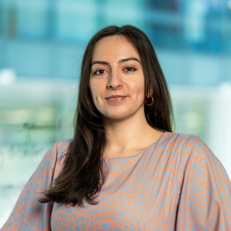 Writer: Mira Nouaihed