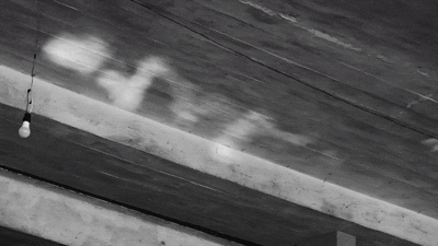 Reflection movie mid-crit(1) - Trim(4).gif