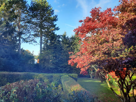 What Bruscript Media has been up to… the summer/autumn collection