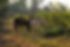 greenroad_sustainability.jpg